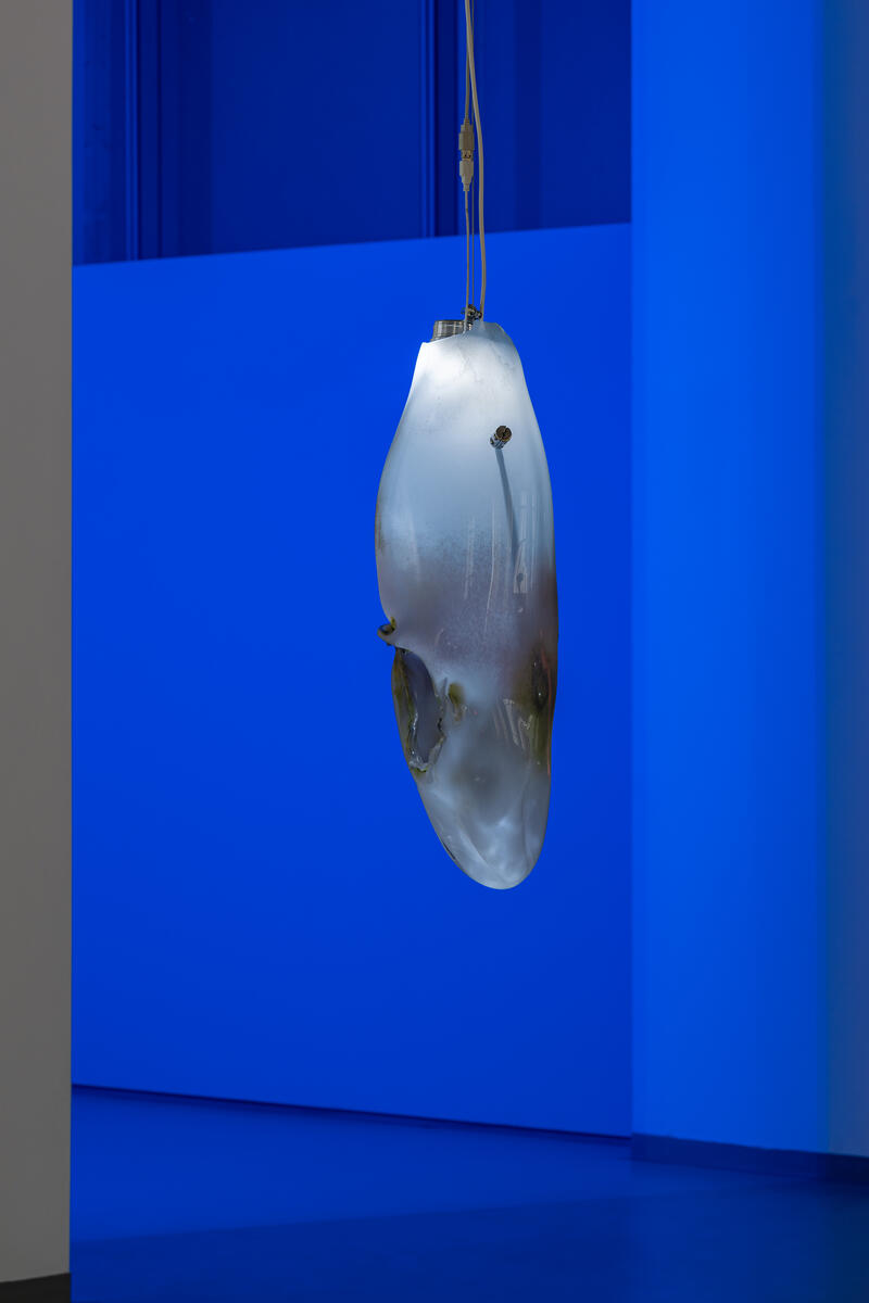 Een kunstwerk hangt in een blauwe ruimte. Het doet denken aan het hoofd van een haai of vis en geeft licht aan de bovenkant.