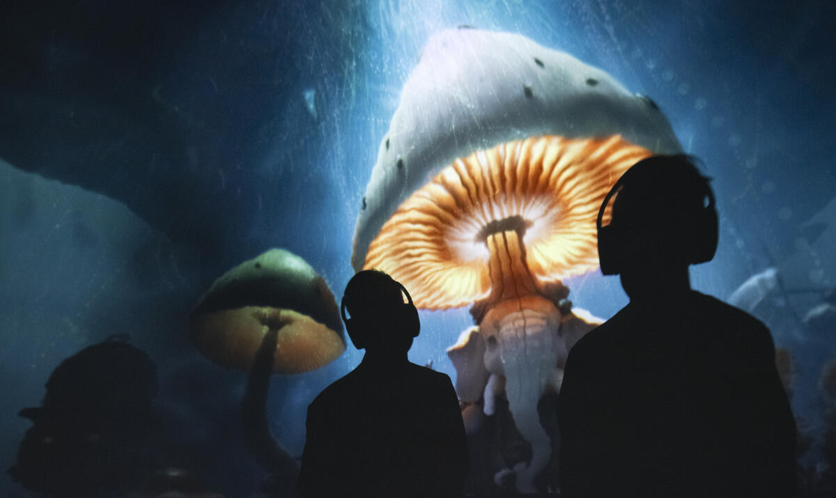 Reset tentoonstelling, silhouetten die kijken naar een grote geprojecteerde paddenstoel