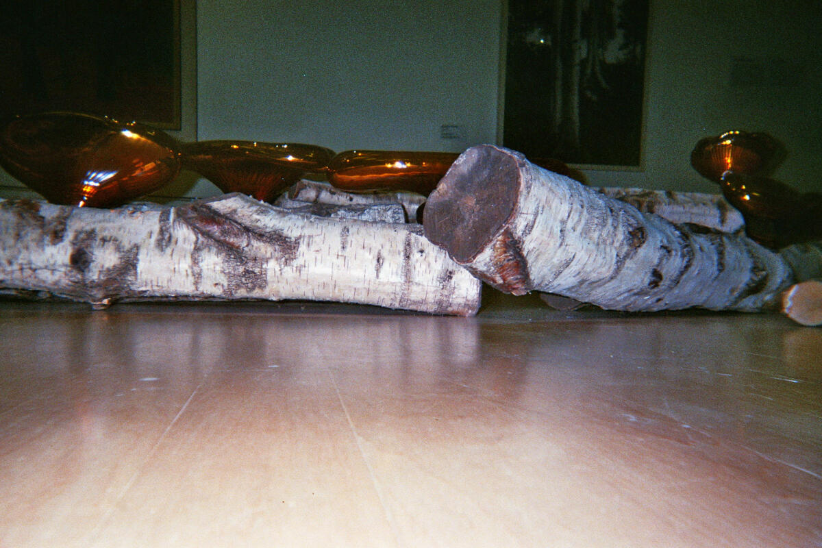 Fundatie Friday, 26 July: artwork