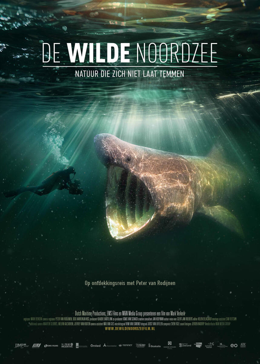 Filmplakat mit der wilden Nordsee und einem Unterwasserfoto eines Tauchers mit einem gro&szlig;en Fisch, der sein Maul ge&ouml;ffnet hat