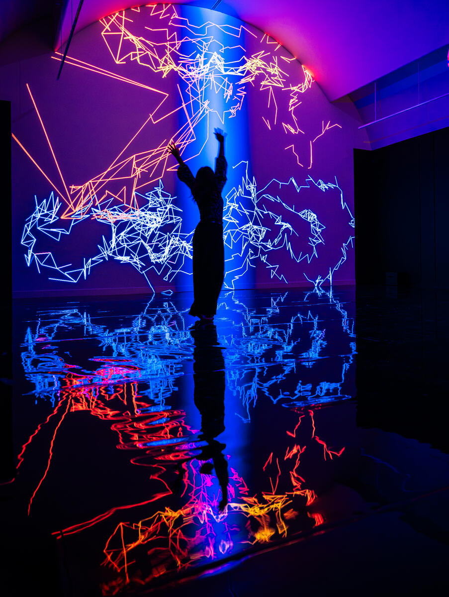 Een persoon als silhouette in de tentoonstelling Digital by Nature voor een digitale installatie