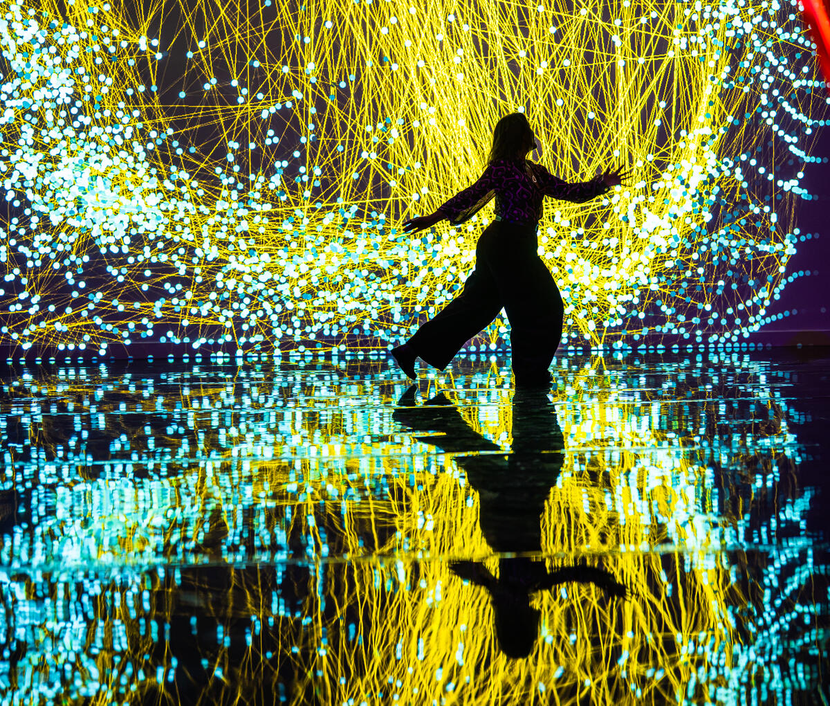 Een persoon als silhouette in de tentoonstelling Digital by Nature voor een digitale installatie