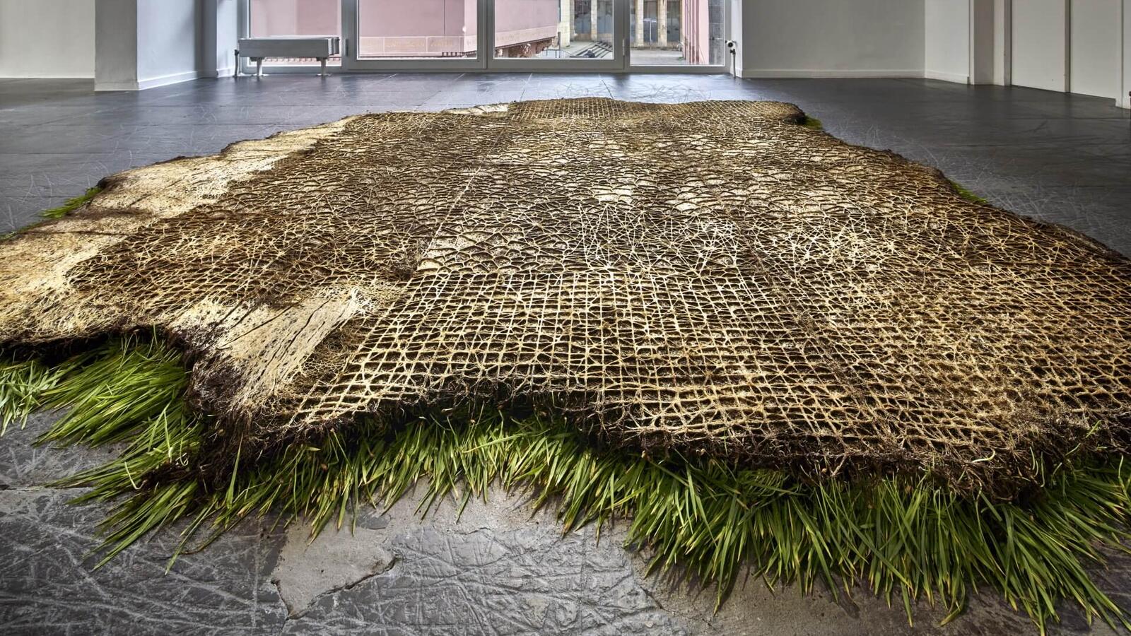 Een grasmat ligt met de wortels omhoog op de museumvloer. De wortels vormen samen mooie en symmetrische patronen. Het gras is zichtbaar aan de onderkant.