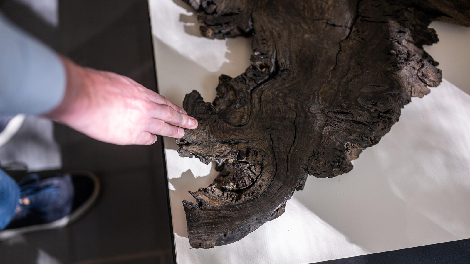 Een hand raakt een oud stuk hout aan. Het hout heeft een bijzondere vorm.