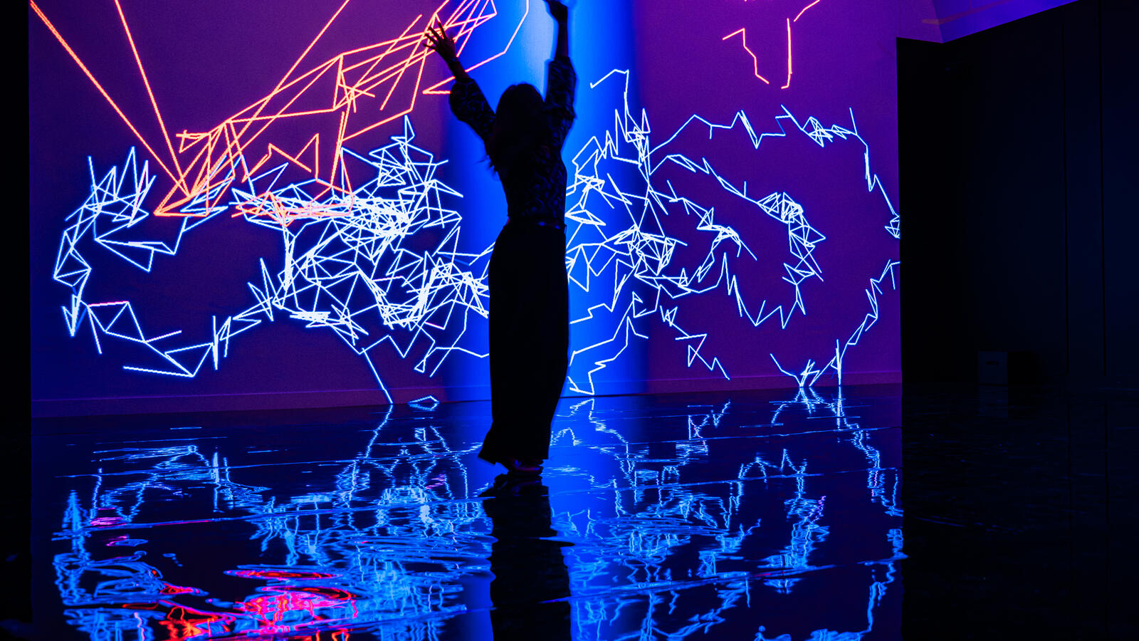 Een persoon als silhouette in de tentoonstelling Digital by Nature voor een digitale installatie