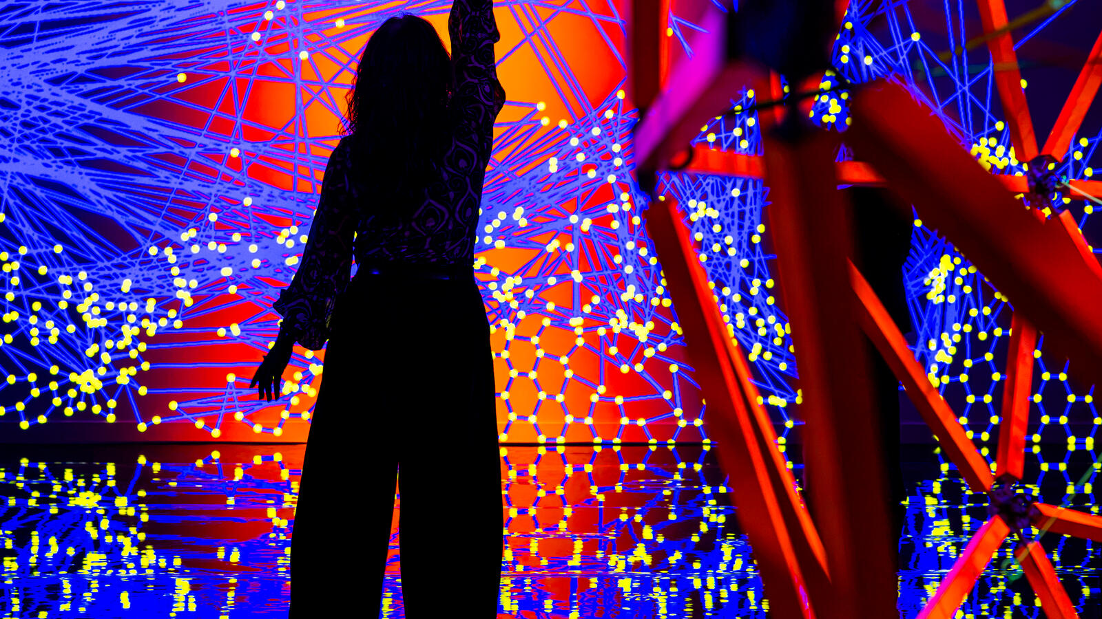 Een persoon als silhouette in de tentoonstelling Digital by Nature voor een digitale installatie