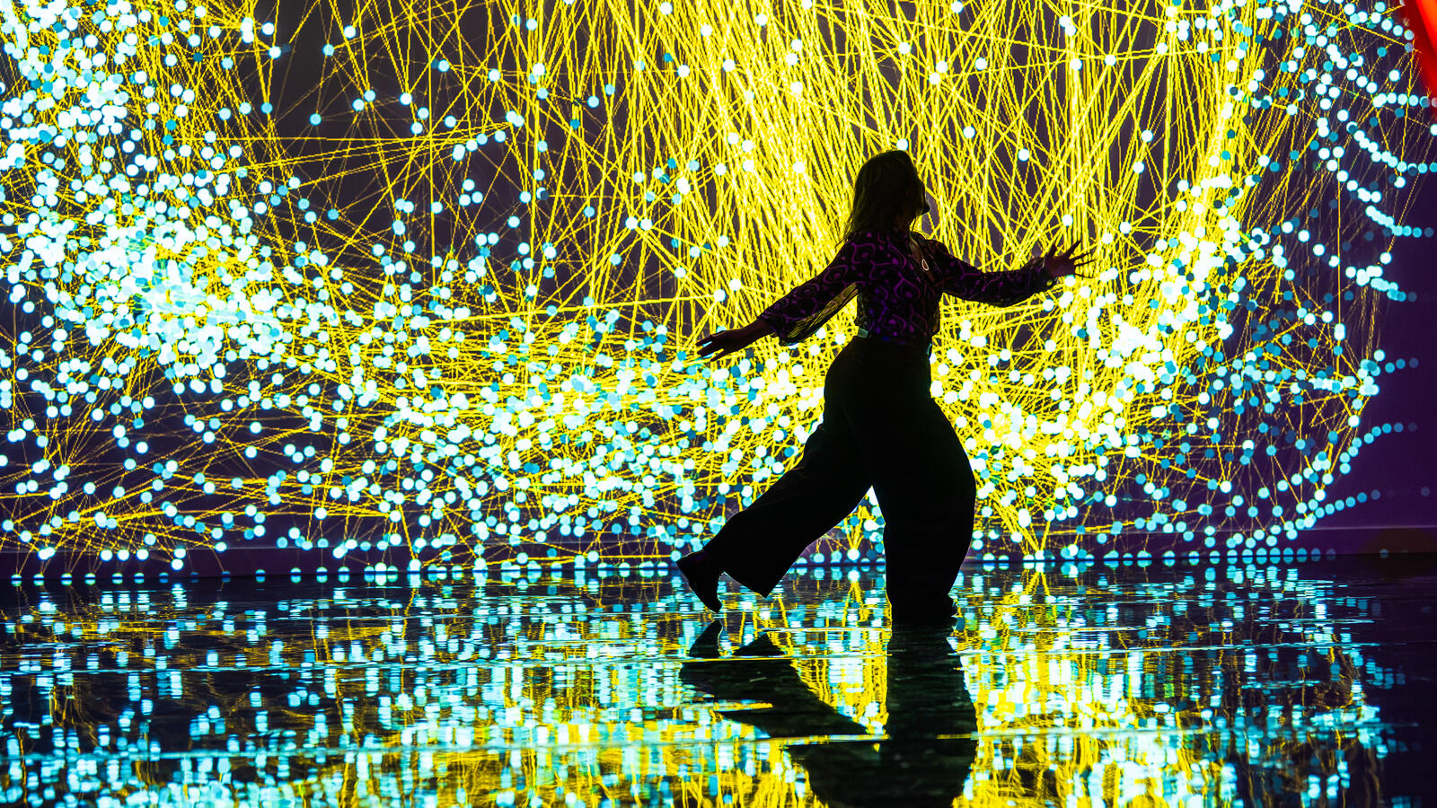 Een persoon als silhouette in de tentoonstelling Digital by Nature voor een digitale installatie