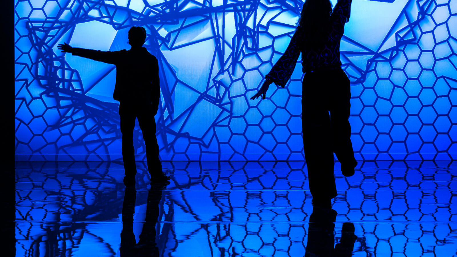 twee peronen als silhouette in de tentoonstelling Digital by Nature voor een digitale installatie