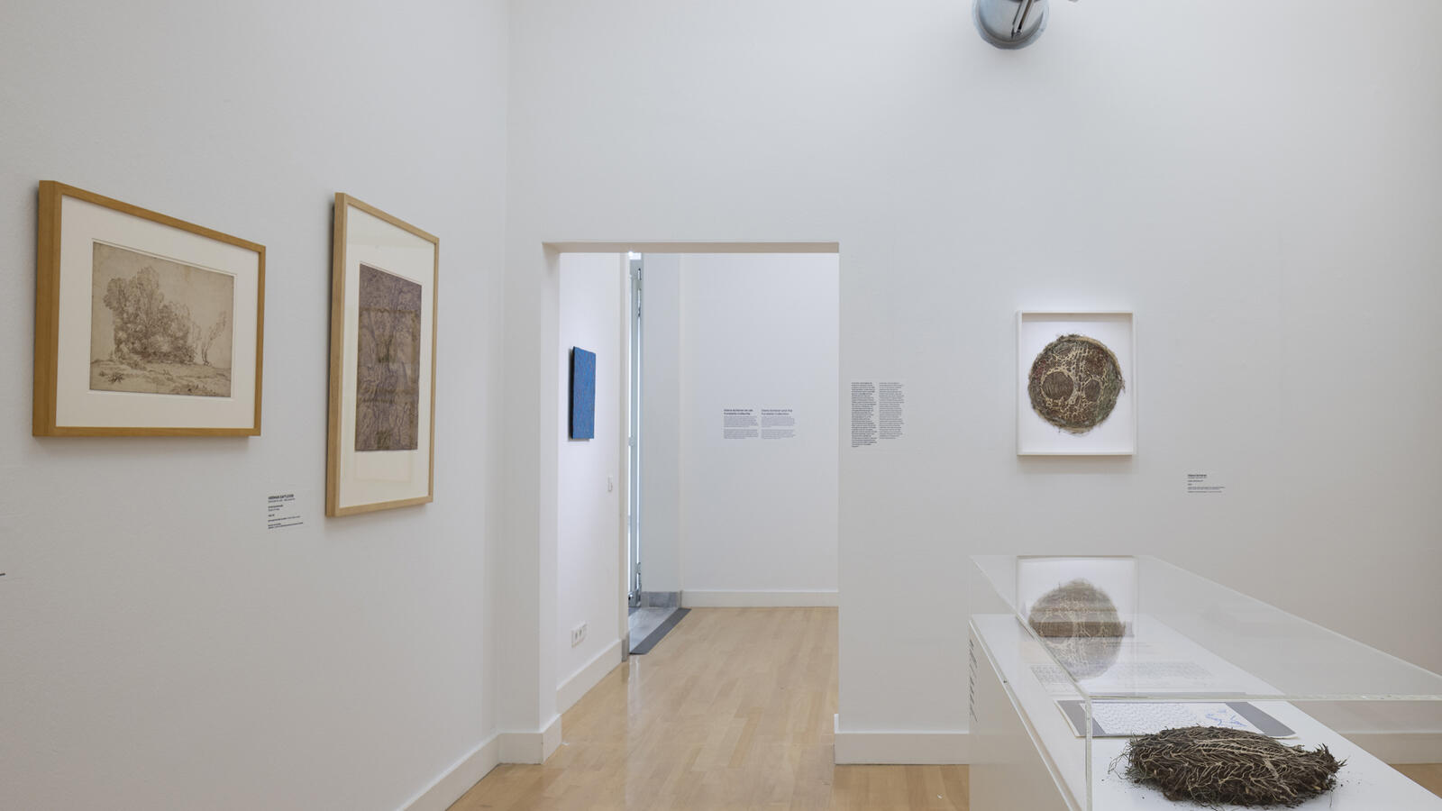kunstwerk van gedroogde plantenwortels Diana Scherer aan de muur en een vitrine met kleine werkjes en inspiratie
