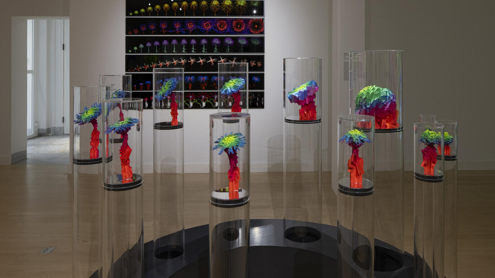 3d werk van Miguel Chevalier, 3d geprinte bloemen van kiemplantje tot vergaande bloem