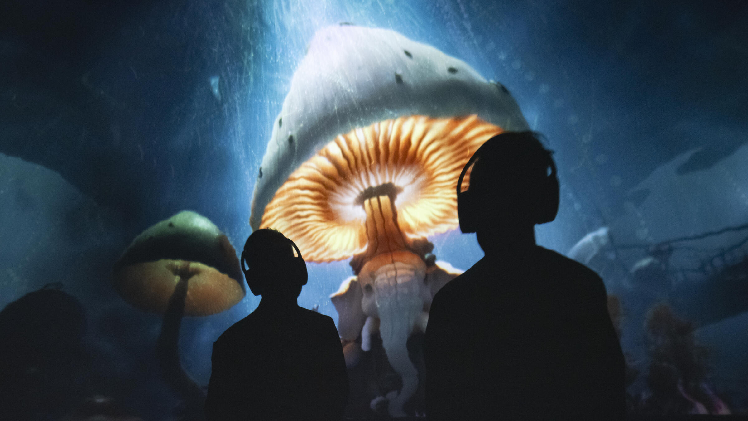 Reset tentoonstelling, silhouetten die kijken naar een grote geprojecteerde paddenstoel